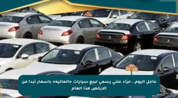 عاجل اليوم.. مزاد علني رسمي لبيع سيارات «المالية» بأسعار تبدأ من الأرخص هذا العام